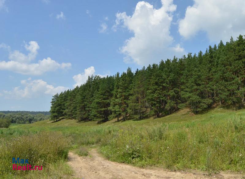 купить частный дом Искитим деревня Девкино, Речная улица, 10