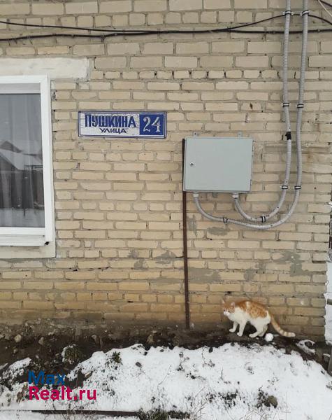 улица Пушкина, 24 Кузнецк квартира
