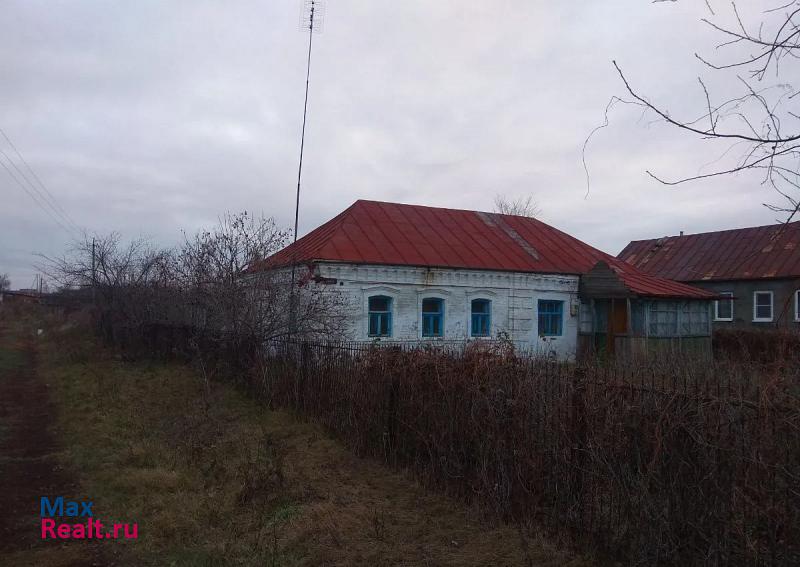 Мичуринск село Турмасово