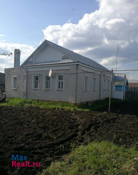 Новочеремшанск село Средний Сантимир частные дома