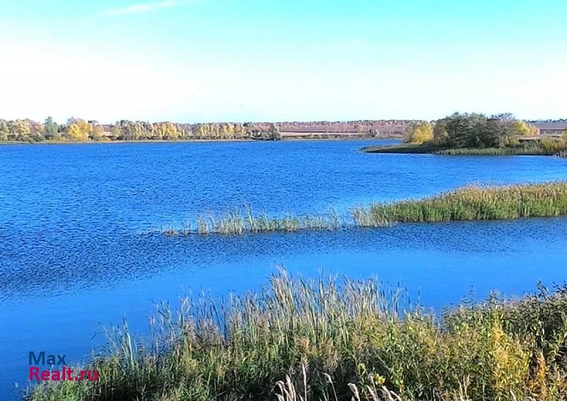 Алексеевское село Речное, улица Комарова