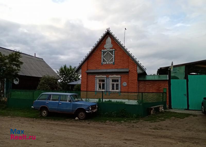 Карабаш деревня Халитова, Степная улица, 3