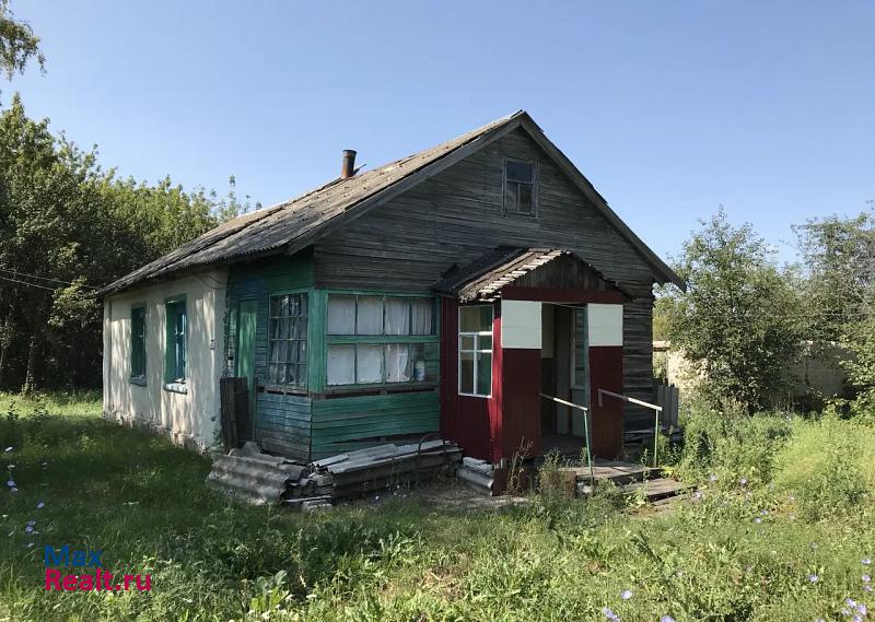 Панино село Новохреновое
