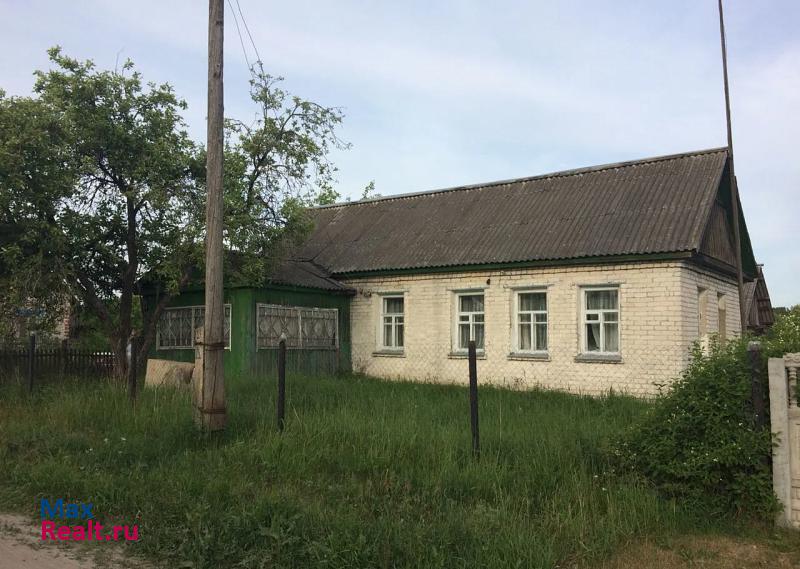 купить частный дом Жуковка деревня Новые Месковичи
