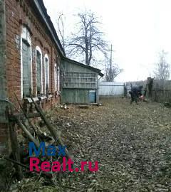 Пронск деревня Болотово