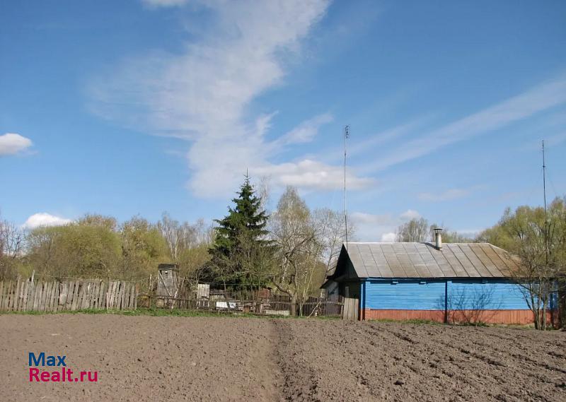 купить частный дом Погар село Дареевск