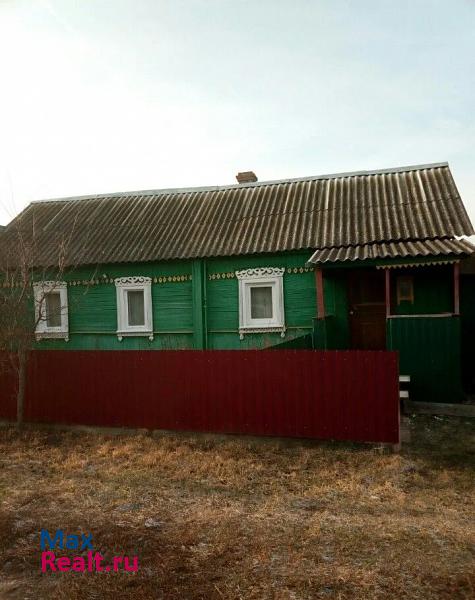 купить частный дом Добрунь Скрябинское сельское поселение, село Палужье