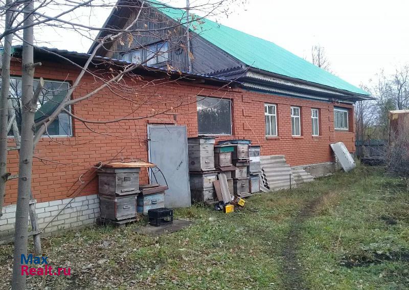 Дмитриевка село Старые Камышлы частные дома