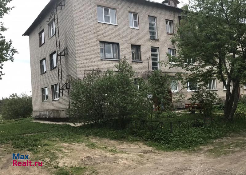Куйвозовское сельское поселение, поселок Лесное, 16 Васкелово продам квартиру