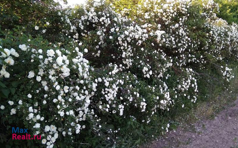 Кингисепп Кингисеппский район, Котельское сельское поселение частные дома