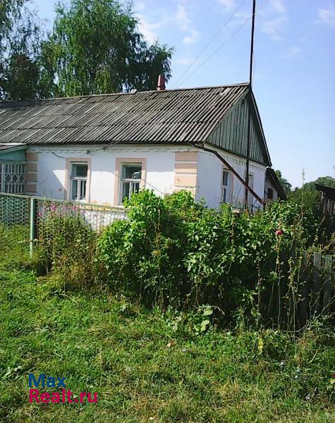 Спасск-Рязанский деревня Курино