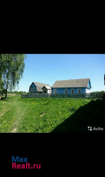 Брянск Отрадненское сельское поселение, деревня Стаево частные дома