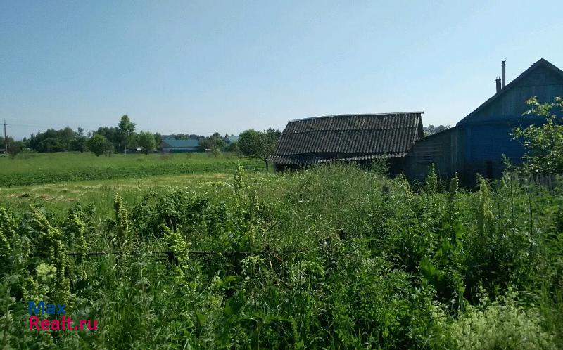 Добрунь Скрябинское сельское поселение, село Палужье, Дорожная улица частные дома