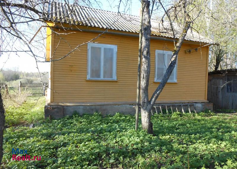 Новодугино деревня Селище частные дома
