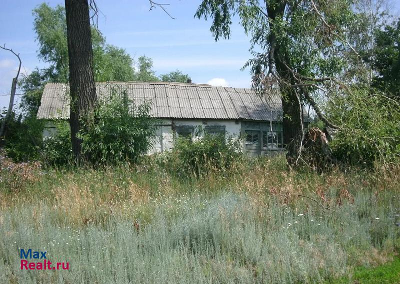 Петровское село Тынково, Центральная улица частные дома