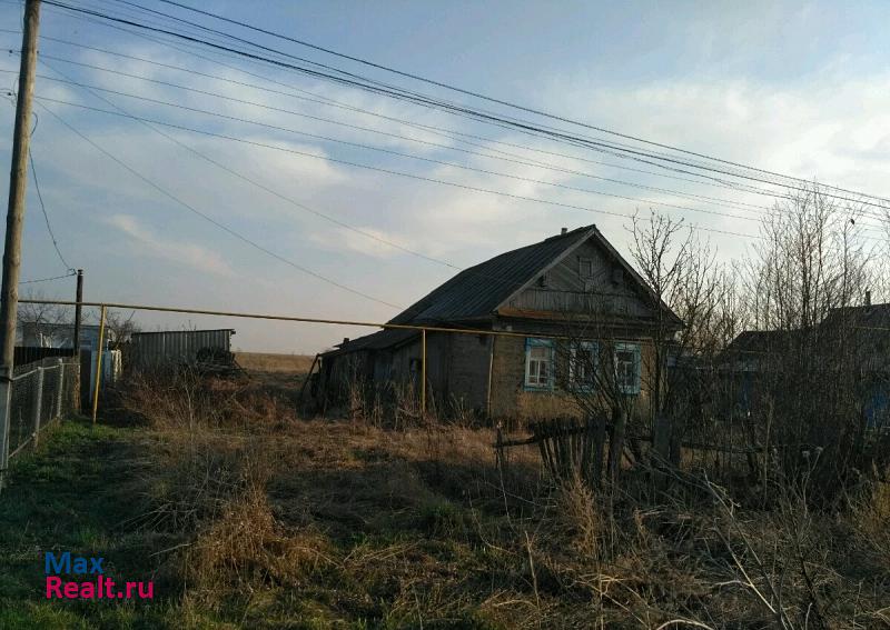 Кочкурово село Кочкурово частные дома