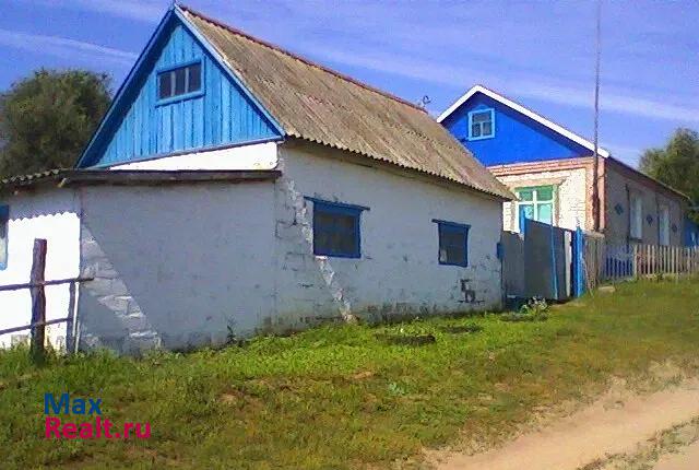 Петропавловка село Старотолучеево частные дома
