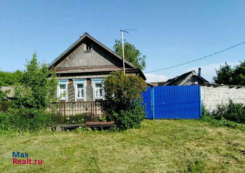 Старая Майна село Волостниковка, Центральная улица частные дома