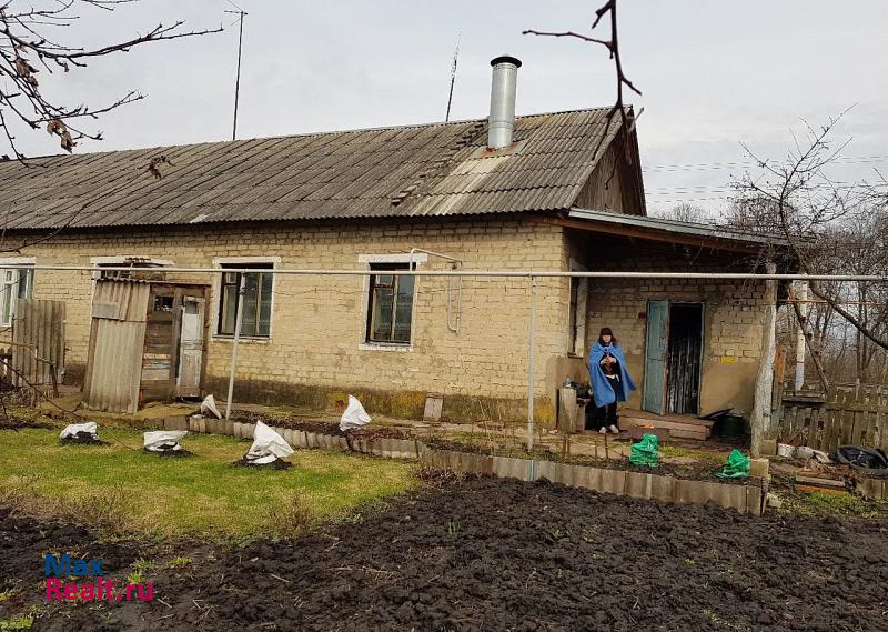 Змиевка деревня Еропкино-Большак частные дома