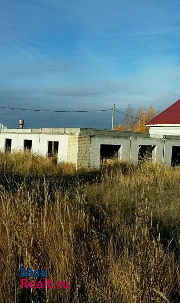 Ишеевка рабочий поселок Ишеевка, 4-й микрорайон частные дома
