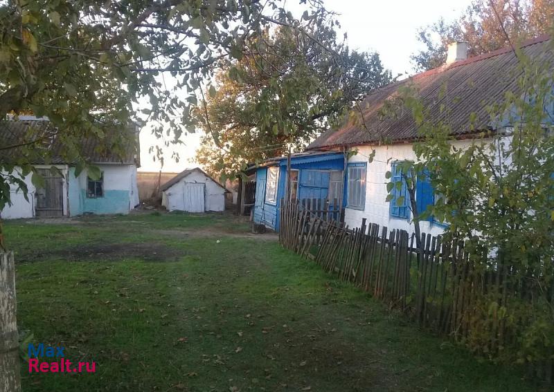 Ольгинская хутор Возрождение частные дома