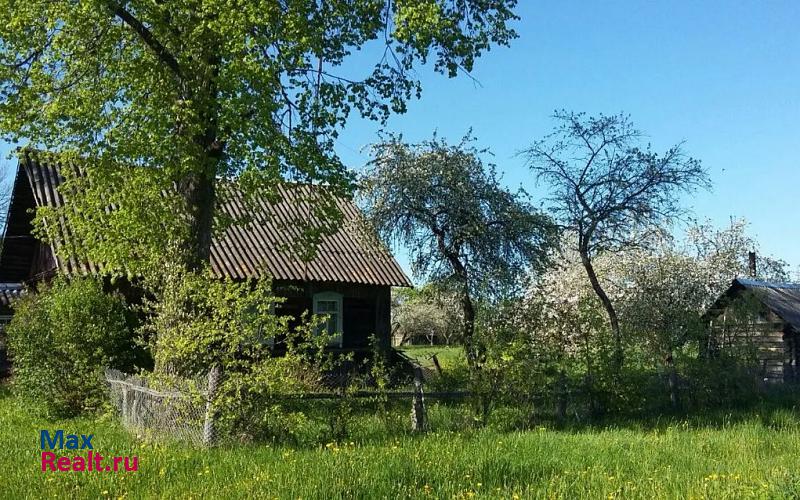 Красногородск дер. Трешуты, Красногородский район частные дома