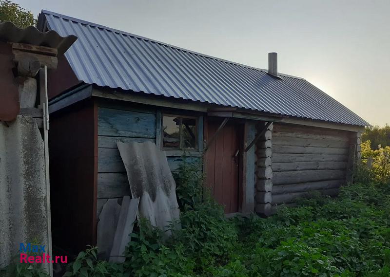 Порецкое Нижегородская область, село Кочетовка, Большая улица частные дома