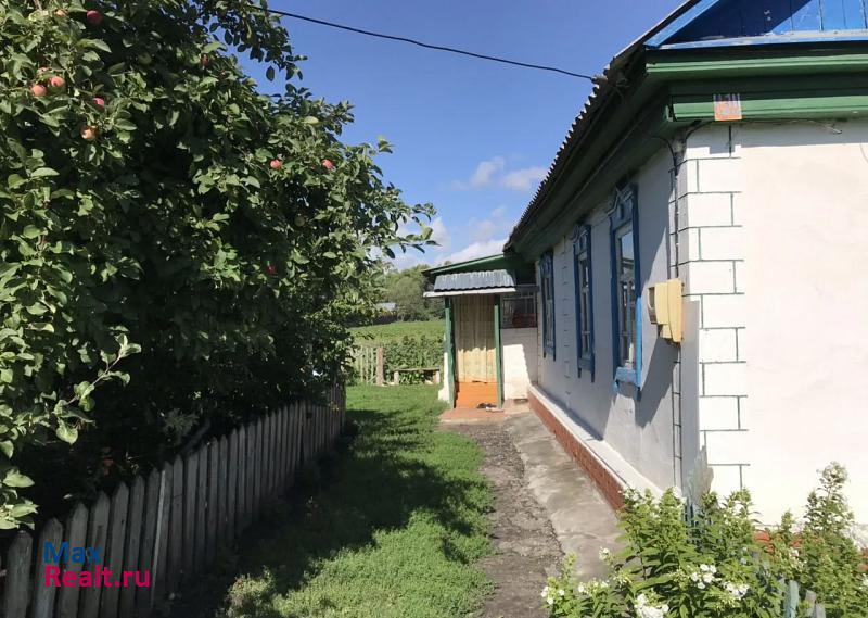 Староюрьево село Староюрьево, улица Ломоносова частные дома