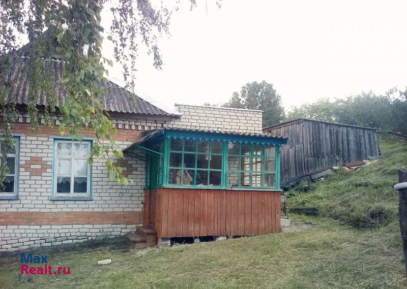 Сурское село Кадышево частные дома