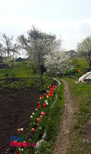 Репьевка село Новосолдатка частные дома