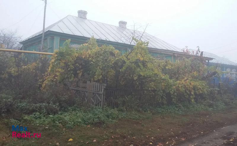 Дмитриевка село Рудовка, Трудовая улица частные дома