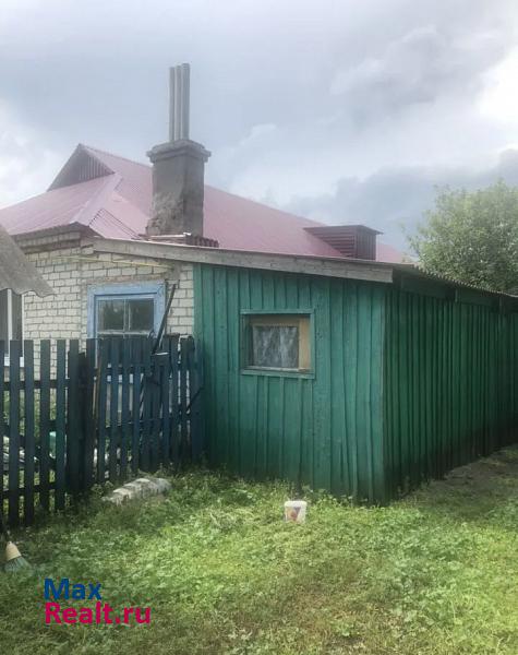 Большое Нагаткино село, Цильнинский район, Карабаевка частные дома