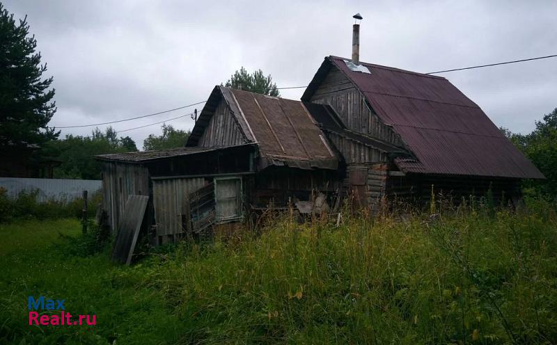 Назия Суховское сельское поселение, деревня Бор частные дома