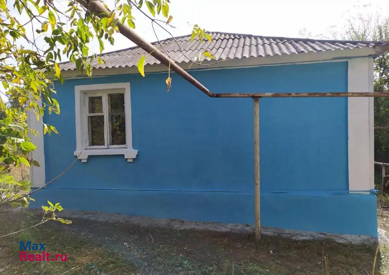 Хохольский рабочий посёлок Хохольский, улица Космонавтов, 43 частные дома