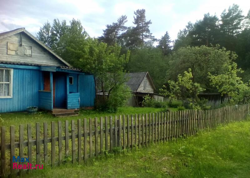 Демянск деревня Горное частные дома