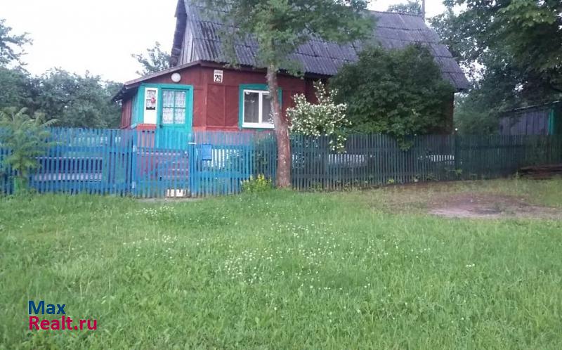 Думиничи посёлок городского типа Думиничи, улица Корнева, 29 частные дома