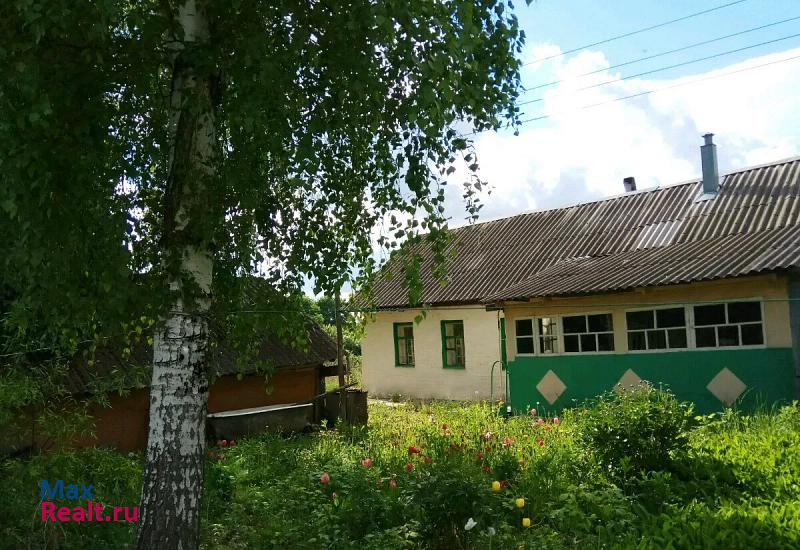 Чернь село Малое Скуратово, Центральная улица, 49 частные дома