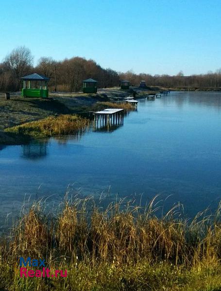 Красная Горбатка село Молотицы частные дома