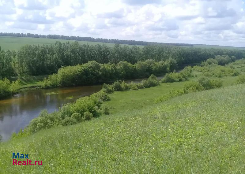 Тербуны деревня Грязновка, Лесная улица частные дома