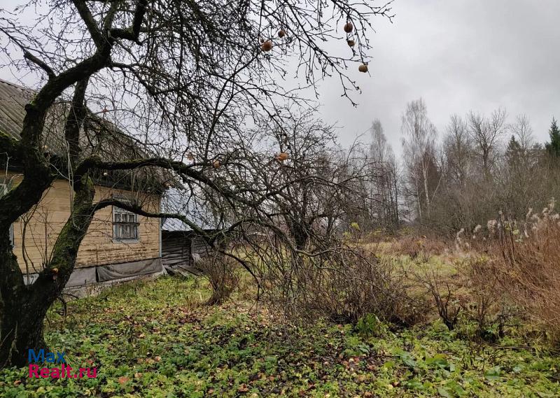 Редкино посёлок городского типа Редкино, улица Шаталкина, 19 частные дома