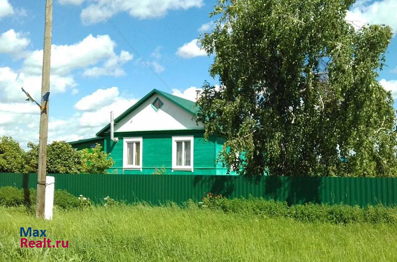 Москаленки село Ильичёвка, Центральная улица, 66 частные дома