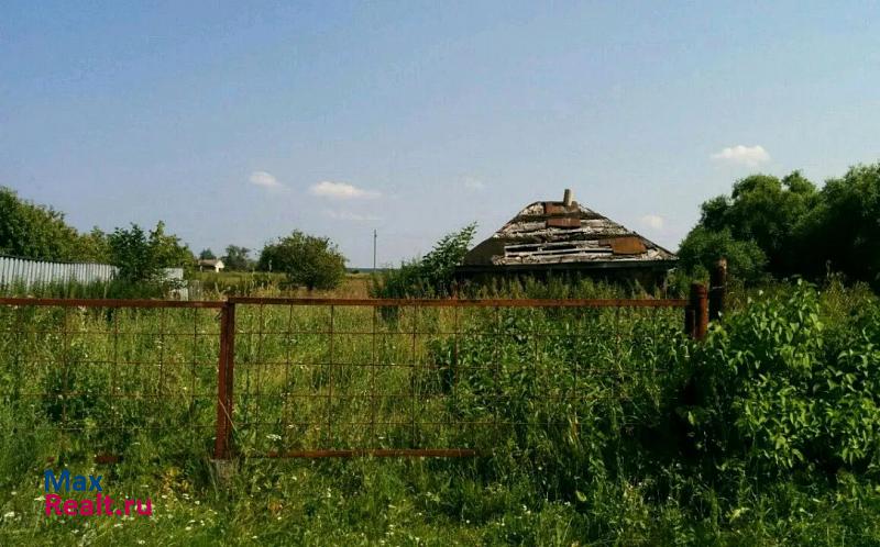 Шацк село Борки, улица Красная Поляна частные дома