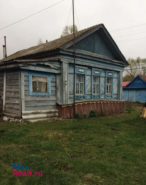 Починки Починковский район, село Симбухово частные дома