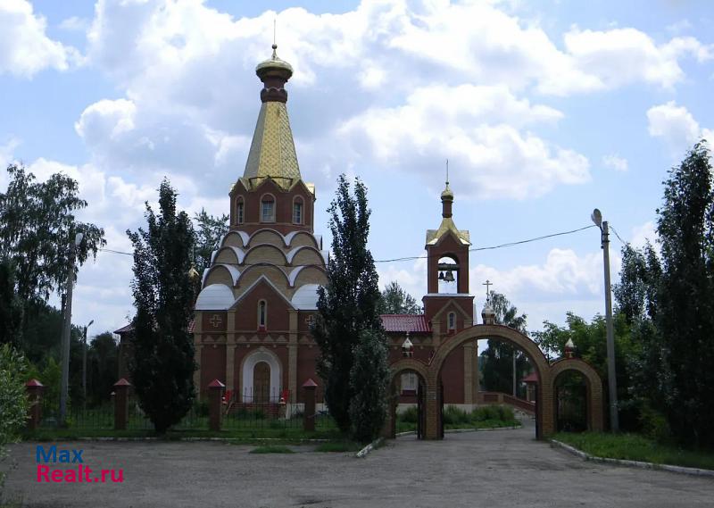 Новоспасское ульяновская обл новоспасский р-он с. Троицкий Сунгур ул. Ульяновс частные дома