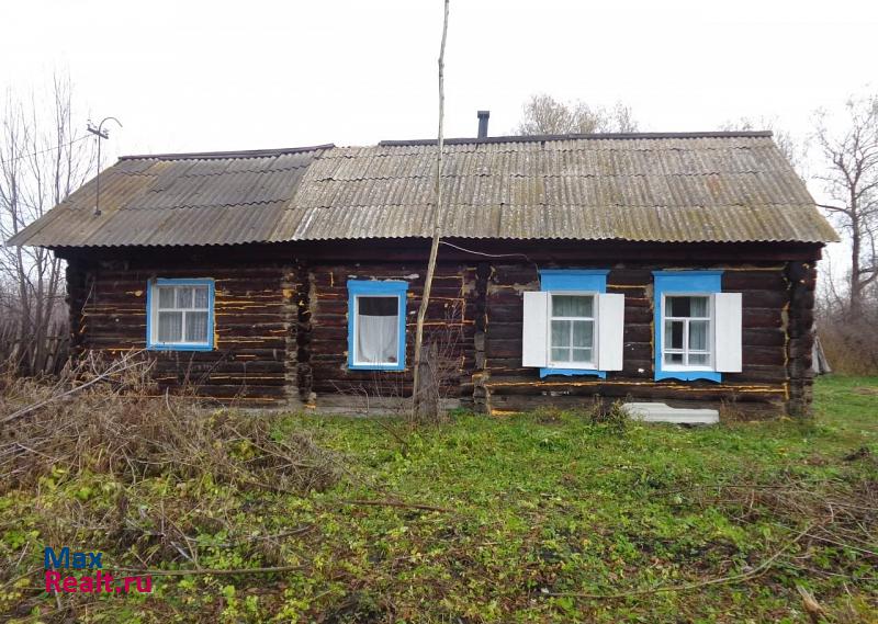 Алтайское село Нижнекаменка, Зелёная улица частные дома