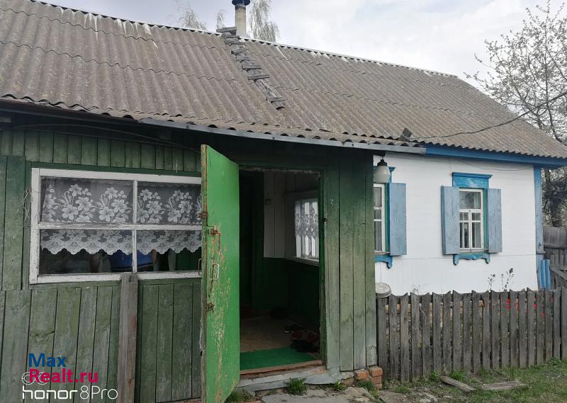 Климово село Новый Ропск частные дома