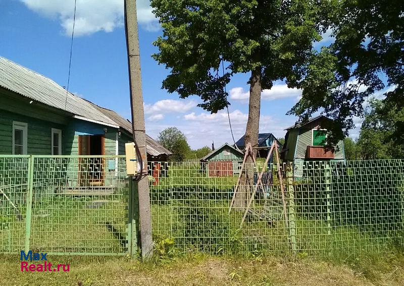 Данилов деревня Скоково, Центральная улица частные дома