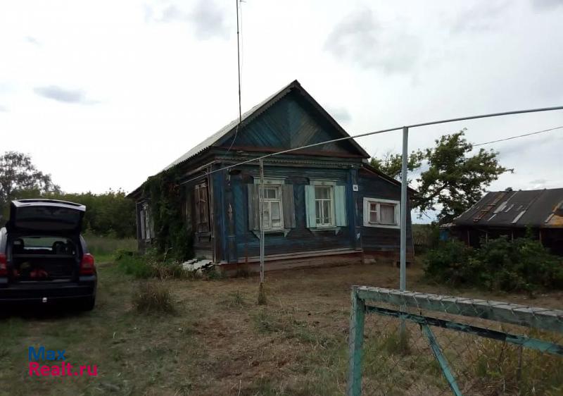 Кинель-Черкассы село Новые Ключи частные дома