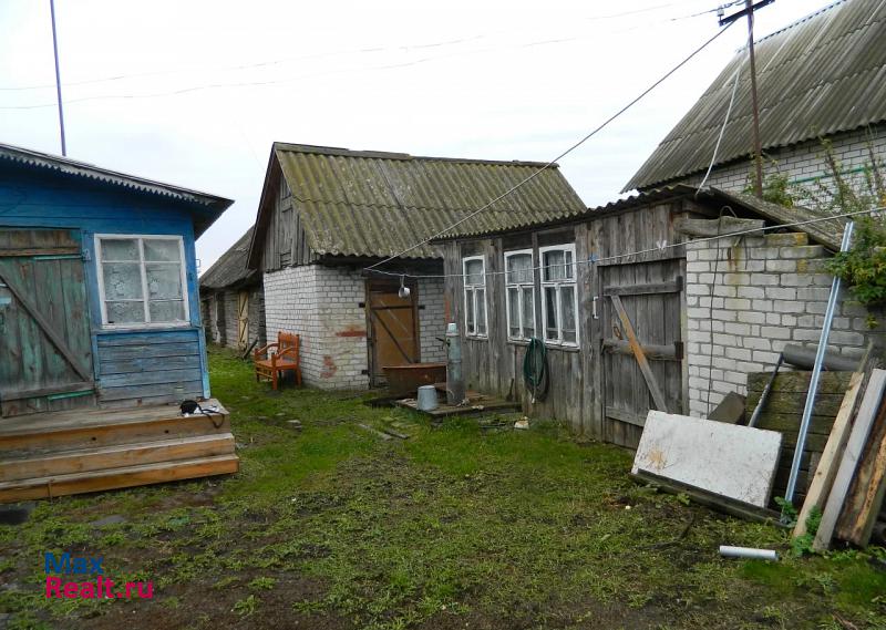 Трубчевск Городецкое сельское поселение, деревня Городцы, Октябрьская улица частные дома