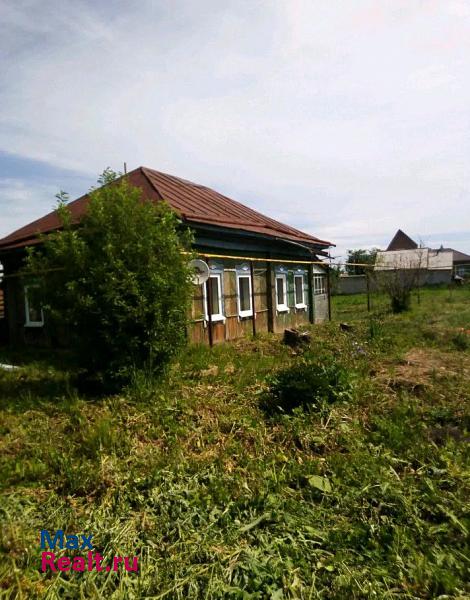 Барнаул село Гоньба, Школьная улица частные дома